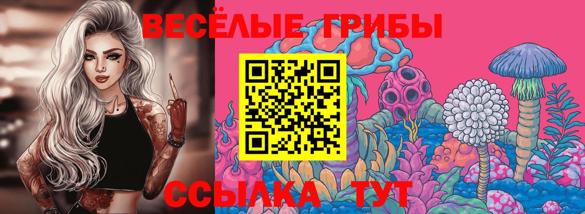 Псилоцибиновые грибы Magic Shrooms Тверь
