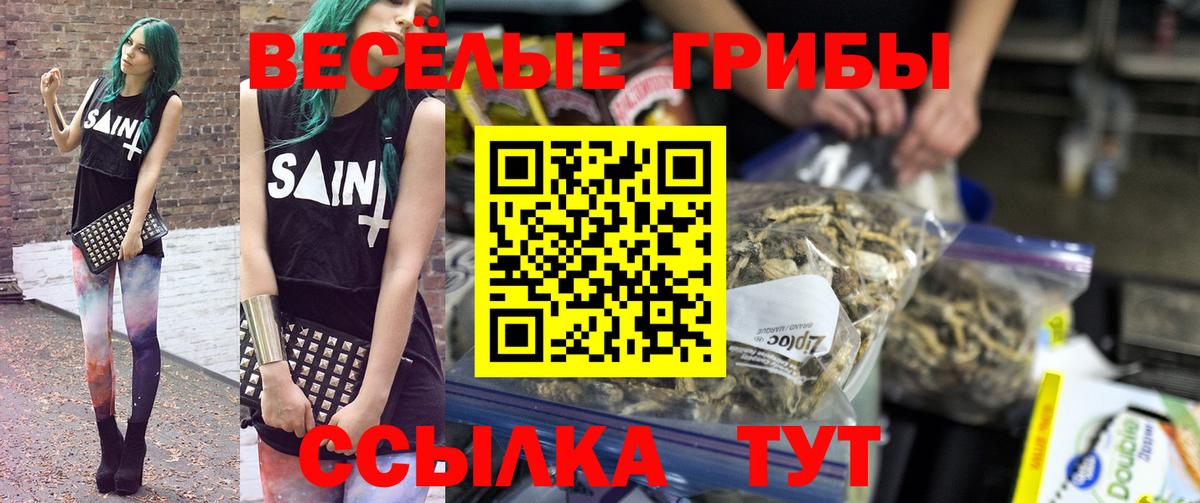 Тверь  Псилоцибиновые грибы ЛСД  Вход с VPN 