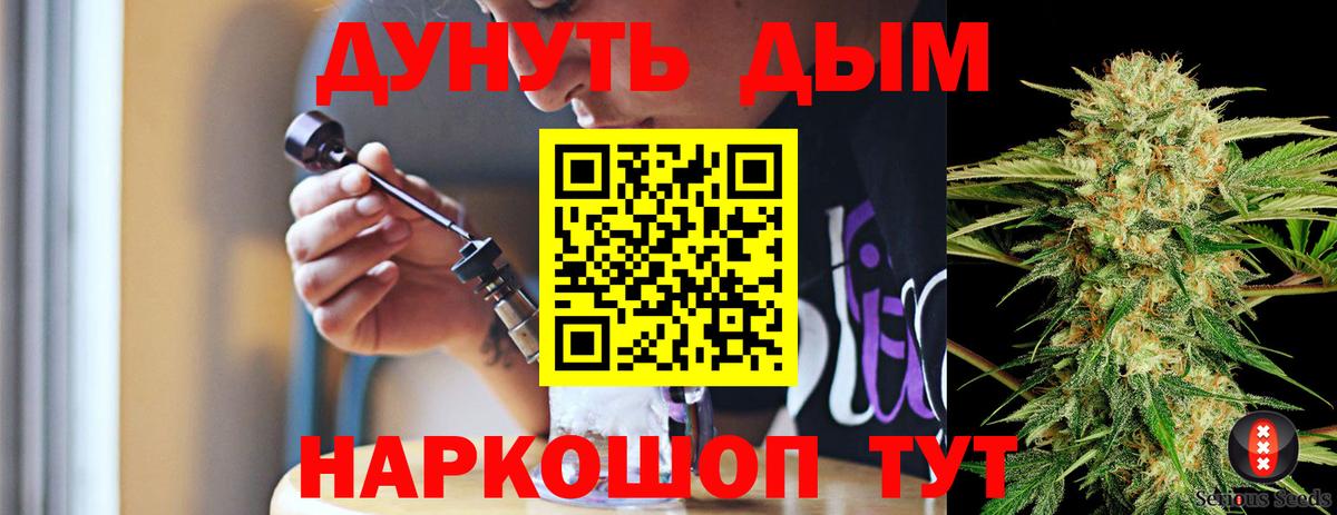 Канабис ГИДРОПОН  Канабис White Widow  Тверь  Вход с VPN  Марихуана VHQ  Каннабис план 